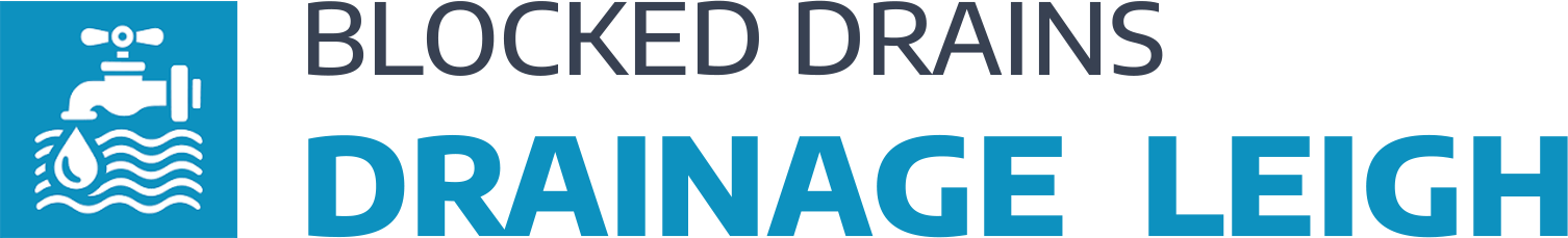 website logo